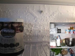 fridgefrost